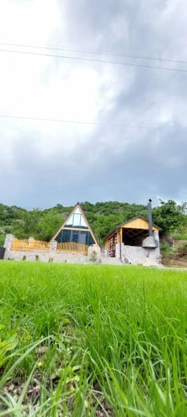A Forest House